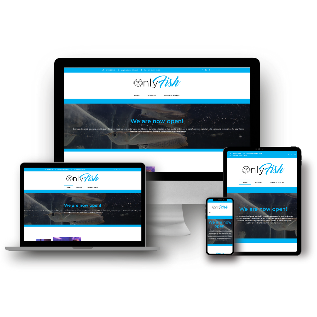 Case Study of OnlyFish Ltd